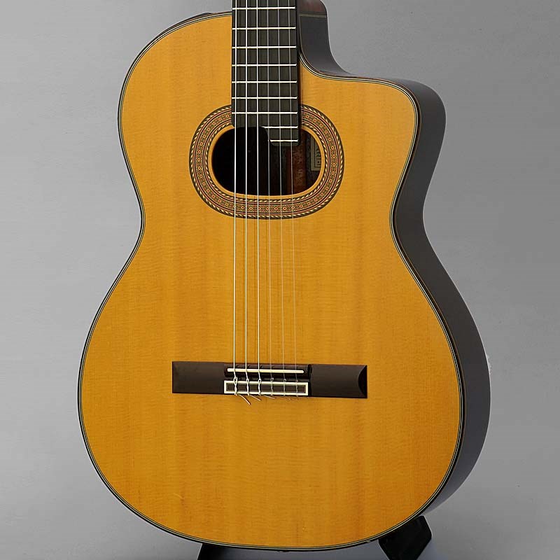 TAKAMINE NPT-315の画像